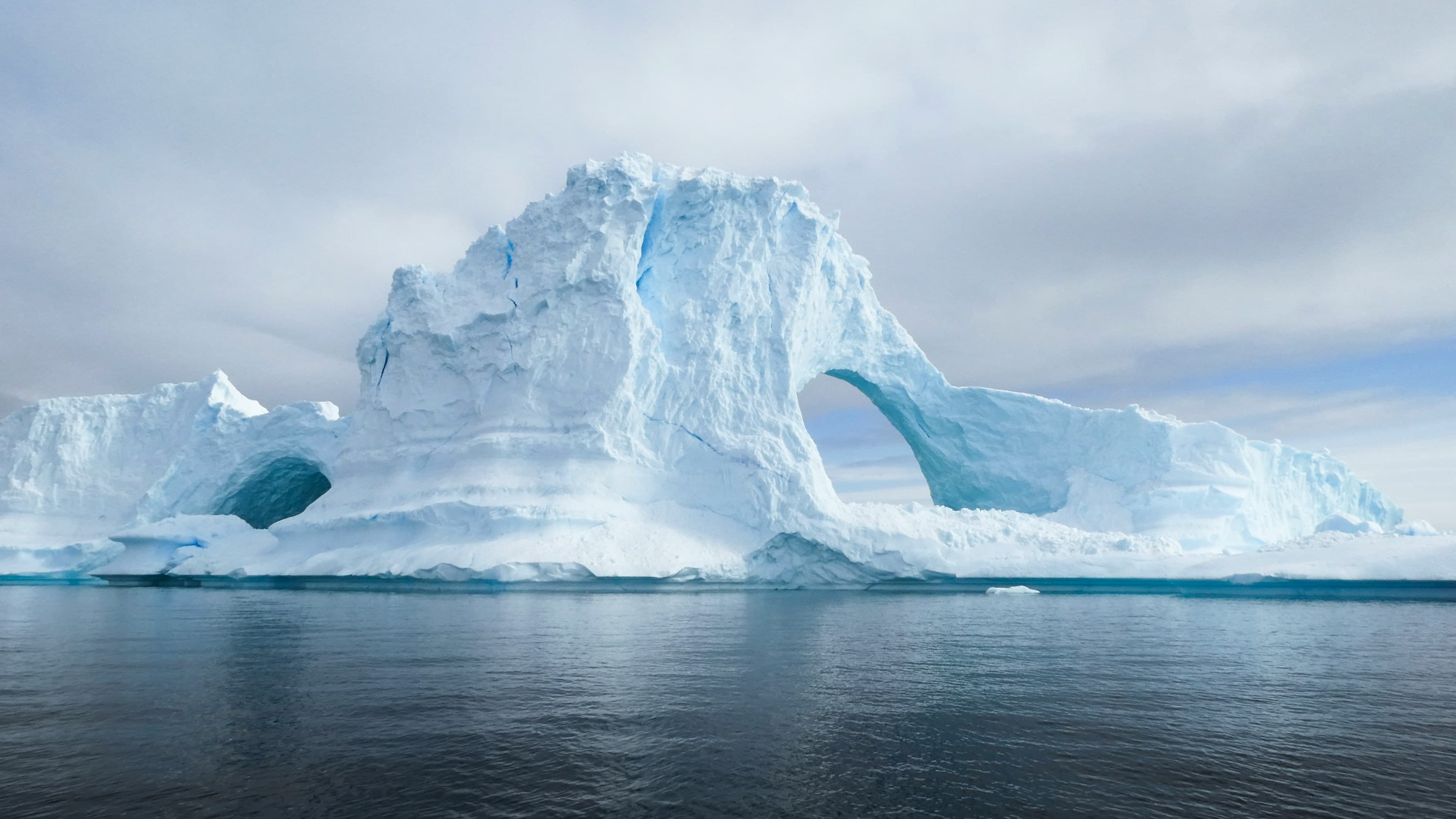Massive white and blue iceberg with a large natural arch floating in calm dark water.